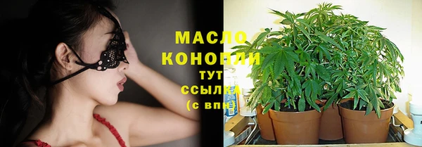 шишки Краснослободск