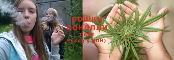 шишки Краснослободск