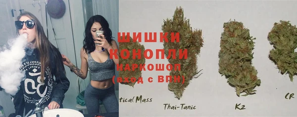 шишки Краснослободск