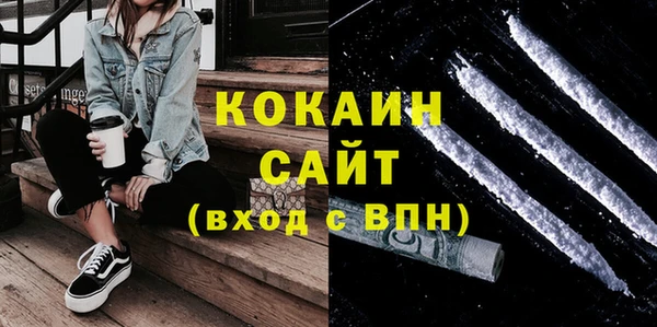 шишки Краснослободск