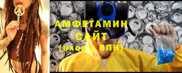 шишки Краснослободск