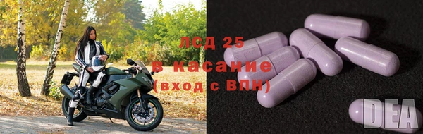шишки Краснослободск