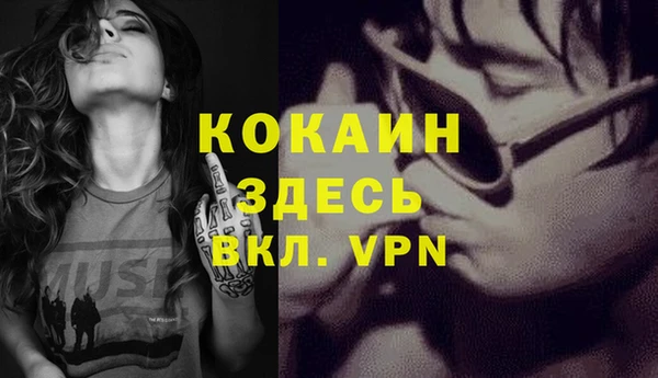 шишки Краснослободск