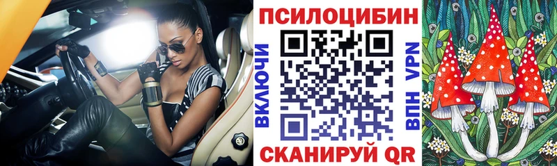 Псилоцибиновые грибы прущие грибы  Купить  Инза 